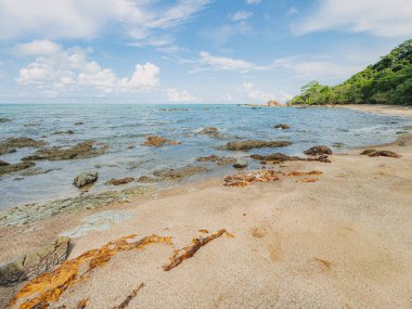 Parlak mavi gökyüzünün altında kayaların ve deniz suyunun sahili.