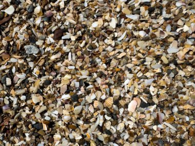 Tropikal sahilde parçacıkların ve kumun renkli karışımı