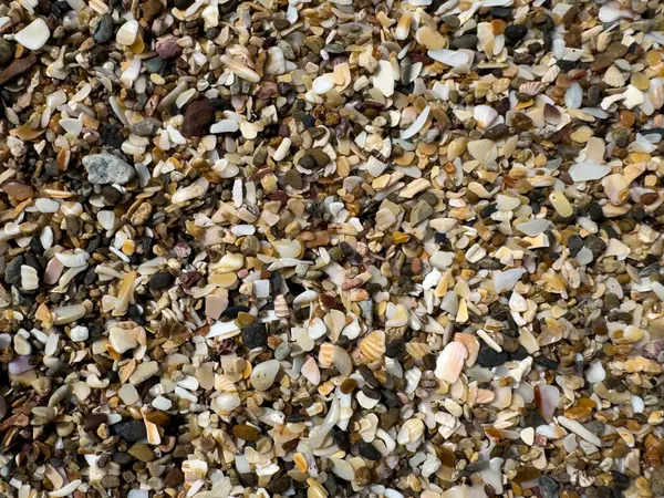 Tropikal sahilde parçacıkların ve kumun renkli karışımı