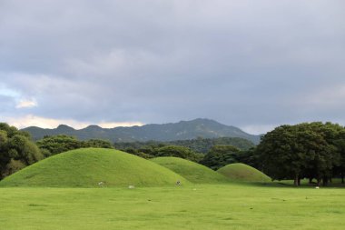 Ancient Korean Burial Mounds at Daereungwon Tomb Complex in a Verdant Landscape with Forest and Mountainous Backdrop on an Overcast Day in Gyeongju, South Korea. High quality photo clipart