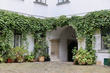 Tarihi bir Avrupa Binası 'ndaki Sarmaşık Kaplamalı Yeşil Duvarlar ve Saksı Bitkileriyle dolu, Taş kemer yolları ve Peaceful Garden Setting içeren yemyeşil bir avlu. Yüksek kalite fotoğraf