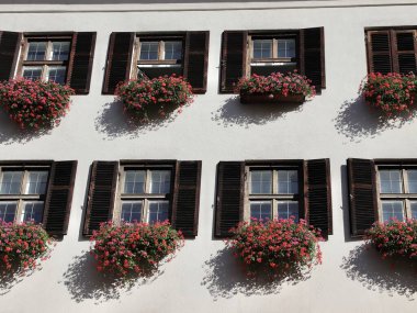 Wooden Kepenkleri ve Güneş Işığındaki Vibrant Çiçek Kutuları ile Avusturya Pencereleri, Innsbruck Altstadt. Yüksek kalite fotoğraf