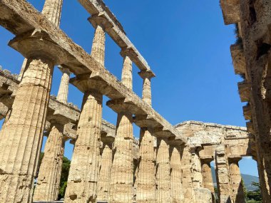 İtalya 'nın Paestum kentindeki Hera Tapınağı' nda Antik Yunan Sütunlarına Düşük Açı, Yakın Bakış. Yüksek kalite fotoğraf