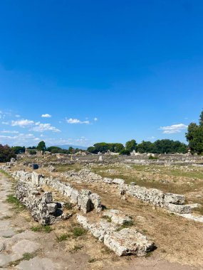 İtalya 'nın Paestum kentindeki Antik Roma Harabelerinin Geniş Görüş Alanı: Açık Mavi Gökyüzü Altındaki Tarihi Manzara. Yüksek kalite fotoğraf