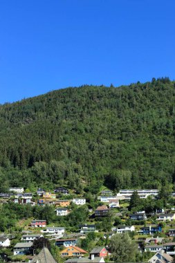 Elevated View of a Hillside Residential Area Nestled Amidst Green Forests in Bergen, Norway. A Concept of Tranquil Living and Sustainable Urban Planning. High quality photo clipart