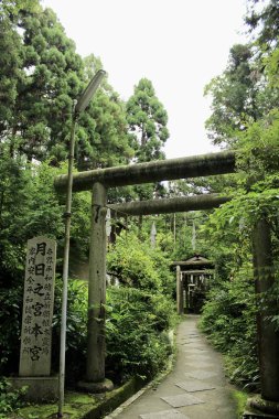 Kyoto, Japonya - 25 Temmuz 2017: Serene Shinto Tapınak Yolu Lush Ormanı 'nın ortasında, Antik Torii Kapıları Gizli Sığınak' a açılıyor. Yüksek kalite fotoğraf