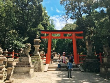 Nara, Japonya - 21 Temmuz 2017: Nara, Japonya 'daki Ziyaretçilerle Kasuga Taisha Tapınağı Torii Kapısı. Yeşilliğin ortasındaki canlı kırmızı kapı. Yüksek kalite fotoğraf