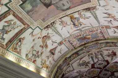 Vatikan Şehri, 5 Eylül 2018: Vatikan Müzeleri 'nde Karışık Tavan Freskleri Mitolojik ve Doğal Temaları Tasvir Ediyor. Yüksek kalite fotoğraf