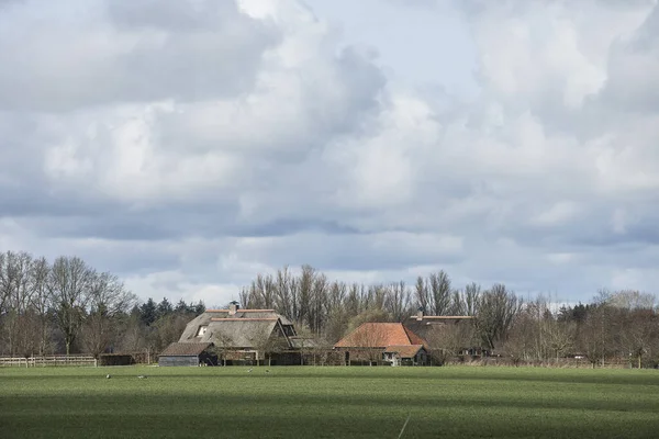Ehemaliges Bauernhaus Grünen Mit Strohdächern Und Scheunen Mit Roten Dachziegeln — Stockfoto