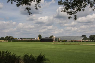 Çiftlik ahır, inek ahırı, ambar, çalıların arkasında gübre sindirici ve gün batımında bir çayır.