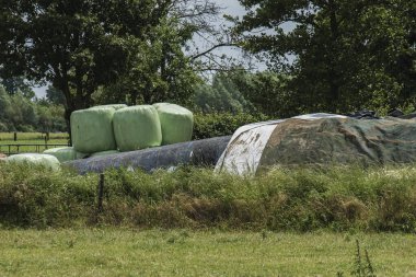 Çayırda bitki örtüsü ve saman balyaları olan bir arazi