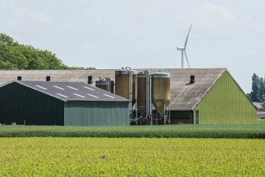 Yazın arka planında yel değirmeni ve siloları olan bir çiftliğin yeşil ahır manzarası