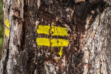 Fransız doğa parkındaki bir ağaçtaki yürüyüş patikasının sarı yol işareti.