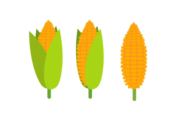 Πράσινο Καλαμπόκι Cob Φύλλα Αυτί Χρυσό Καλαμπόκι Σιτάρι Γλυκό Καλαμπόκι — Διανυσματικό Αρχείο