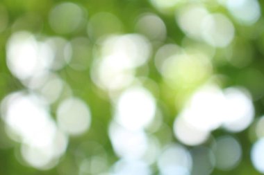 Bokeh güzel yeşillik doğa yeşil ağaç, parlak sabah güneşi pırıl pırıl parıldıyor ve yaz mevsiminin yeşil yaprakları arasında çiçek açıyor.