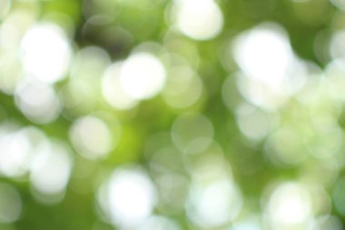 Bokeh güzel yeşillik doğa yeşil ağaç, parlak sabah güneşi pırıl pırıl parıldıyor ve yaz mevsiminin yeşil yaprakları arasında çiçek açıyor.