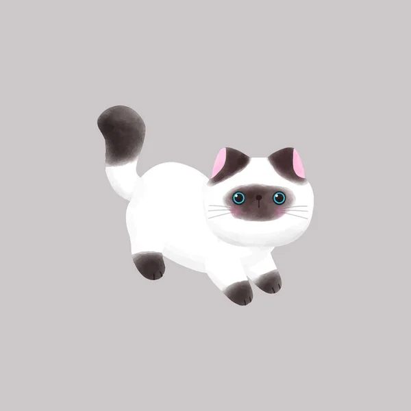 かわいいヒマラヤ猫ベクトルイラスト — ストックベクタ