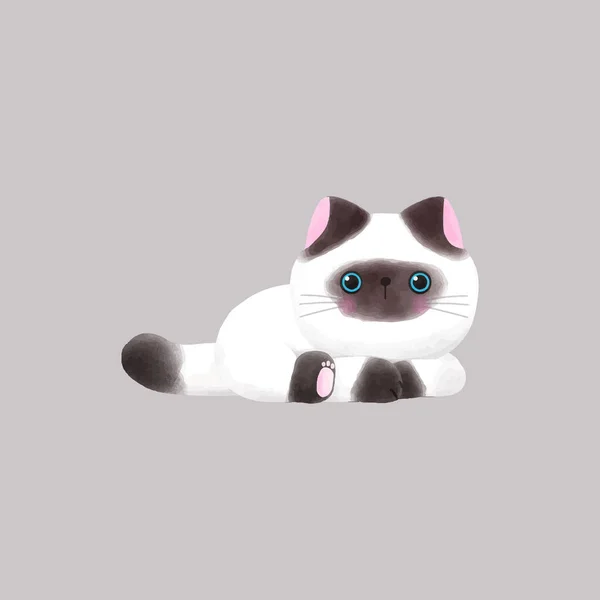 Cute Himalayan Cat Vector Illustration — Stock Vector
