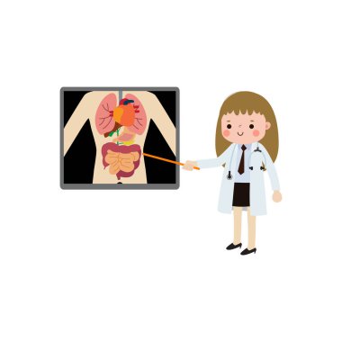 İç organları ve iskeleti gösteren röntgen ekranlı sevimli Avrupalı kadın doktor. x ışını kontrolü kemikler bilgi grafikleri vektör illüstrasyonu beyaz arkaplanda izole