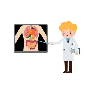 İç organlarını ve iskeletini gösteren röntgen ekranı olan sevimli bir Amerikan karikatür doktoru. x ışını kontrolü kemikler bilgi grafikleri vektör illüstrasyonu beyaz arkaplanda izole