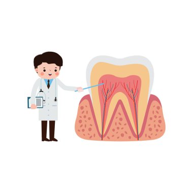 Mutlu Diş Hekimi karakteri Beyaz zemin üzerinde Sevimli çizgi film düz stil vektör çizimi