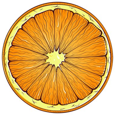 Yuvarlak portakal dilimi. Elle çizilmiş çizgi film tarzında vektör renk çizimleri. Beyaza izole edilmiş taze organik besinler. Turunçgil meyvesini kapatın. Yemek kitabı, etiket, tasarım, yazdırma ögesi.