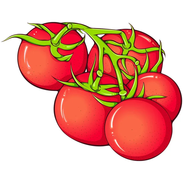 Rama Tomates Rojos Ilustraciones Color Vectorial Estilo Dibujado Mano Alimentos — Archivo Imágenes Vectoriales