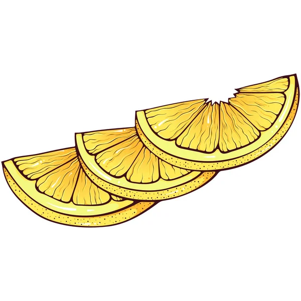 Tre Fette Limone Illustrazioni Colori Vettoriali Stile Cartone Animato Disegnato — Vettoriale Stock