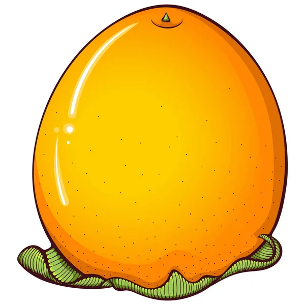 Whole Orange Persimmon Upside Vector Color Illustrations Hand Drawn Cartoon — Stock Vector