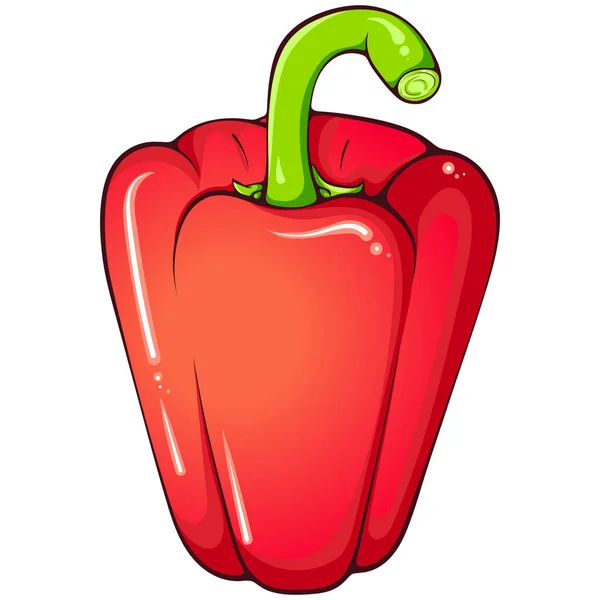 Pimentón Rojo Entero Ilustraciones Color Vectorial Estilo Dibujado Mano Alimentos — Vector de stock