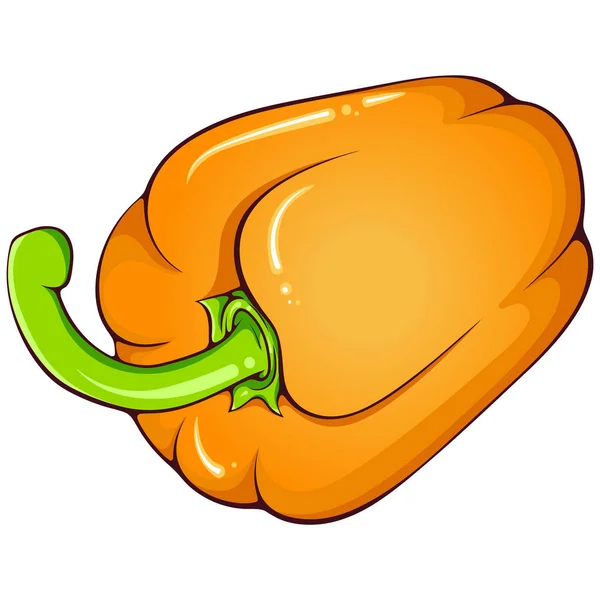 Цілий Лежачий Апельсиновий Перець Паприки Векторні Кольорові Ілюстрації Ручному Мальованому — стоковий вектор