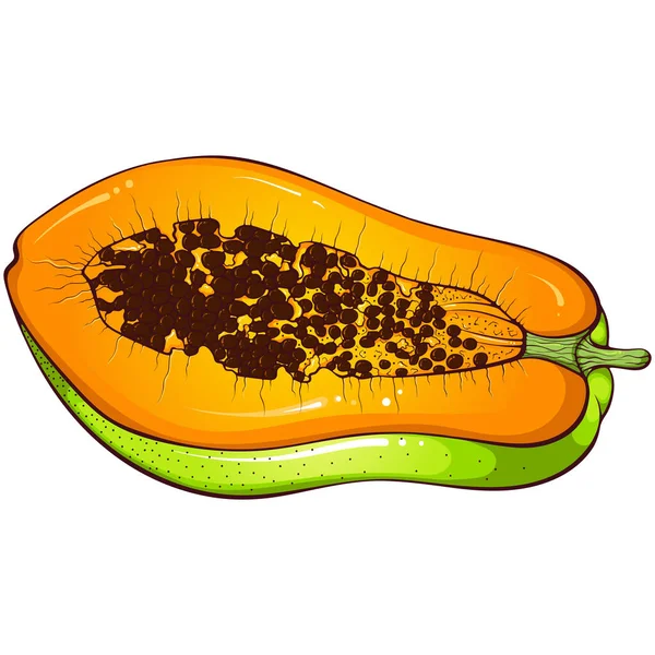 Mezza Papaia Arancione Con Semi Illustrazioni Colori Vettoriali Stile Cartone — Vettoriale Stock