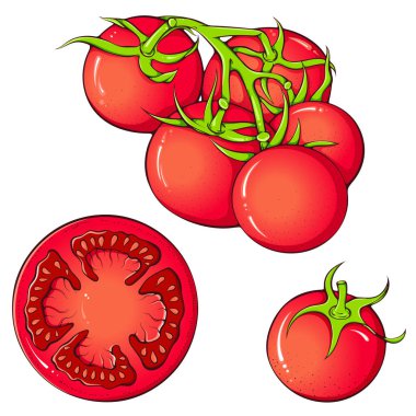 Bir çift kırmızı domates. Dal, dilimlenmiş yuvarlak domates. Vektör eli çizilmiş karikatür çizimi beyaza izole edilmiş. Vejetaryen sağlıklı organik gıda
