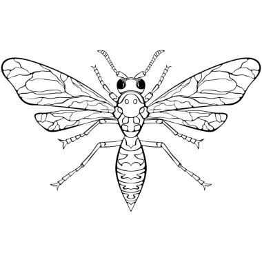 Kanatları açık, üst manzaralı bir eşekarısı. Uçan böcek yaklaşıyor. Elle çizilmiş vektör çizimleri beyaza izole edilmiş. Boyama kitabı sayfası için siyah böcek, logo.