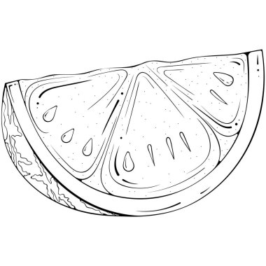 Slice of watermelon with seeds. Vector illustration in hand drawn sketch doodle style. Line art botanical natural ingredient for juice isolated on white. Close up summer fruit. Coloring book page