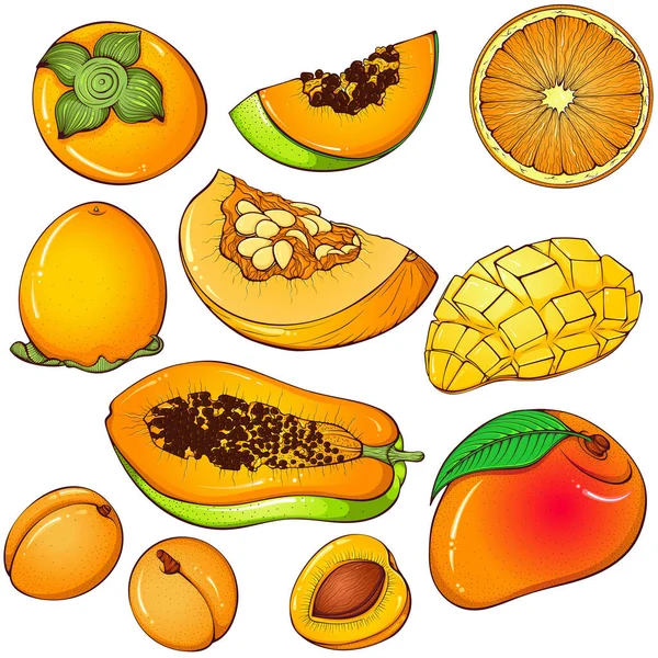 一套橙色的水果 矢量手绘卡通画 孤立在白色上 收集甜水果贴纸 — 图库矢量图片