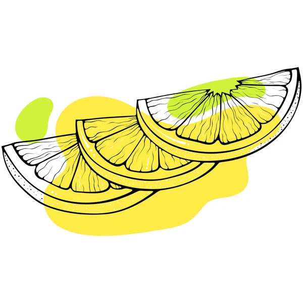 Три Ломтика Лимона Цитрусовый Клин Стильный Эскиз Абстрактными Цветными Пятнами — стоковый вектор