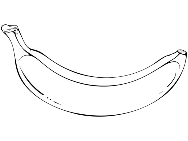 Plátano Entero Ilustración Vectorial Estilo Garabato Dibujado Mano Línea Arte — Archivo Imágenes Vectoriales