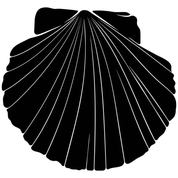 Die Silhouette Einer Jakobsmuschel Von Oben Handgezeichnete Illustration Mit Schwarzem — Stockvektor