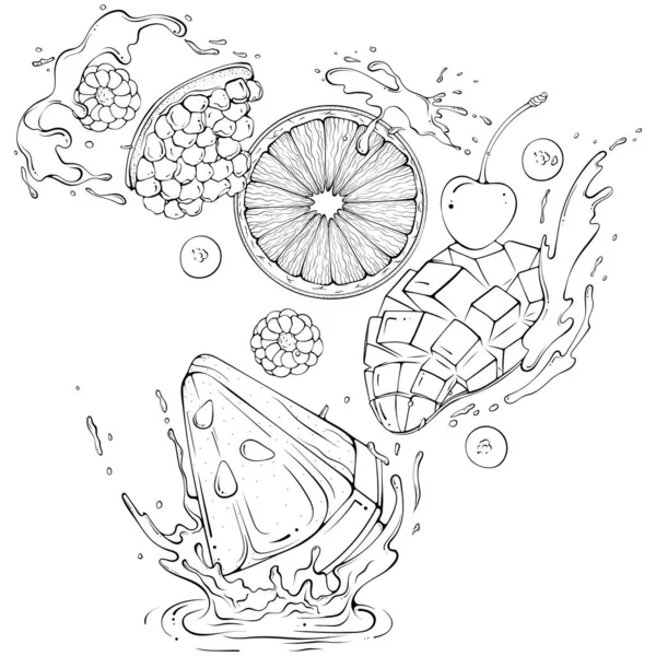 用果汁或水飞溅的各种切碎水果 液体滴 矢量插图手绘草图涂鸦风格 在白色上分离的新鲜果汁的线艺术成分 静谧的生态水果 — 图库矢量图片
