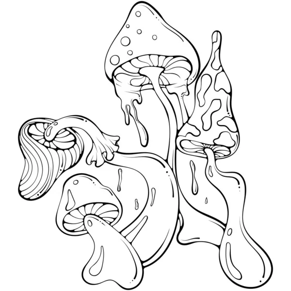 异乎寻常的蘑菇的华丽的嬉皮士组成 复古70年代迷幻真菌 手绘素描风格的怀旧怀旧矢量 黑线艺术插图孤立在白色上 彩色书 — 图库矢量图片