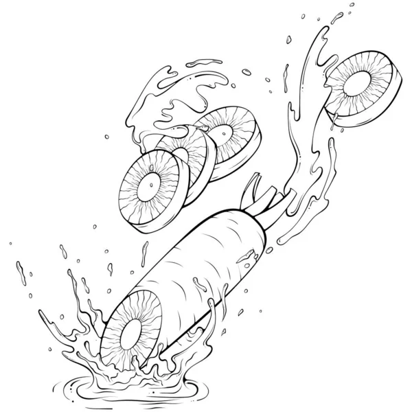 Sliced Carrots Juice Water Splash Liquid Drops Vector Illustration Hand — Stock Vector
