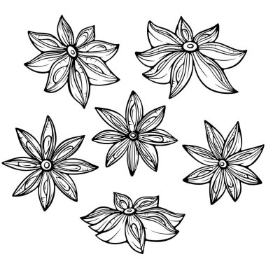 Yıldız anason aroması seti. Badian Asya baharatlı sosu. Elle çizilmiş robot resim çiziminde vektör illüstrasyonu. Çizgi sanatı boyama kitabı için beyaza izole edildi, yazdırma