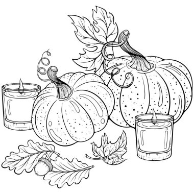 Balkabaklı, mumlu ve yapraklı sonbahar kompozisyonu. Sıcak sonbahar dekoru. Elle çizilmiş taslak biçiminde vektör illüstrasyonu. Çizgi sanatı boyama kitabı için beyaza izole edildi, yazdırma