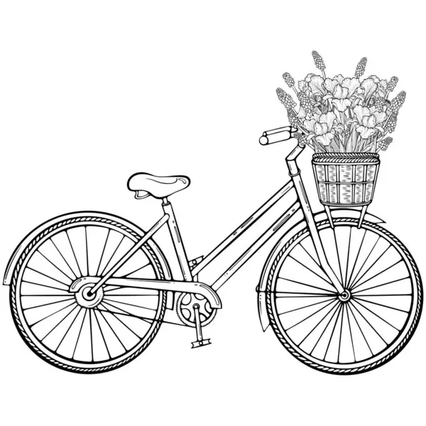 Önünde bahar çiçekleri olan hasır sepetli bir bisiklet. Klasik bayan şehir bisikleti. Elle çizilmiş robot resim çiziminde vektör illüstrasyonu. Çizgi sanatı boyama kitabı için beyaza izole edildi, yazdırma