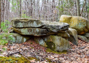 Leominster eyalet ormanının engebeli arazisi