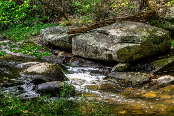 Acqua Che Scorre Sulle Rocce Nella Foresta Statale Willard Brook — Foto Stock
