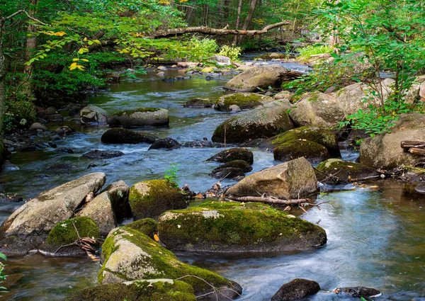 Willard Brook Ashby Massachusetts 'teki Willard Brook Eyalet Ormanı' nda yer almaktadır.