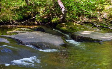 Willard Brook Eyalet Parkı 'ndaki dereden akan su., 