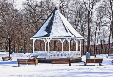 Leominster 'daki Carter Park' ta taze kar bir çardağı kaplıyor.